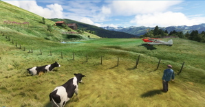 Altisurface de l'Arpette thumbnail 11