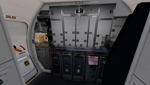 American Airlines [Pack] w/Cabin PMDG B737-800 thumbnail 20