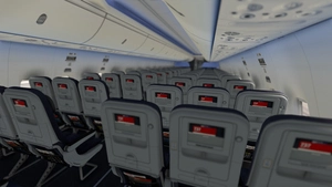 American Airlines [Pack] w/Cabin PMDG B737-800 thumbnail 18