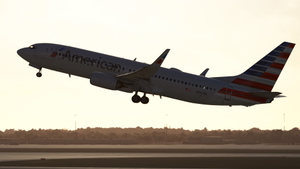 American Airlines [Pack] w/Cabin PMDG B737-800 thumbnail 5