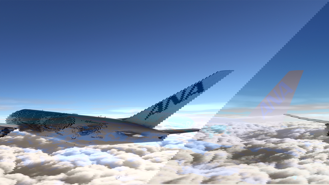 ANA Flying Honu 