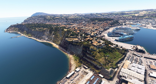 Ancona no tree