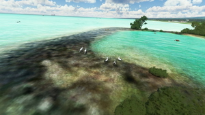 Apia Faleolo Airport NSFA thumbnail 15