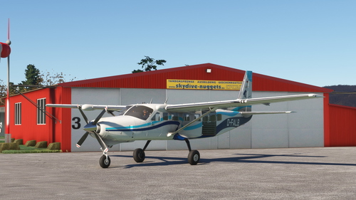 Asobo Cessna C208 Grand Caravan D-FALB