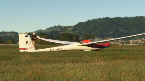 Asobo LS8 fictional livery package [4K]