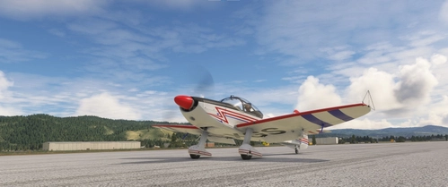 Asobo Robin CAP10C Realism Mod