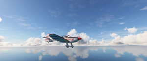 Asobo Robin CAP10C Realism Mod thumbnail 4