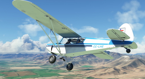 Asobo Savage Cub CC-LHE