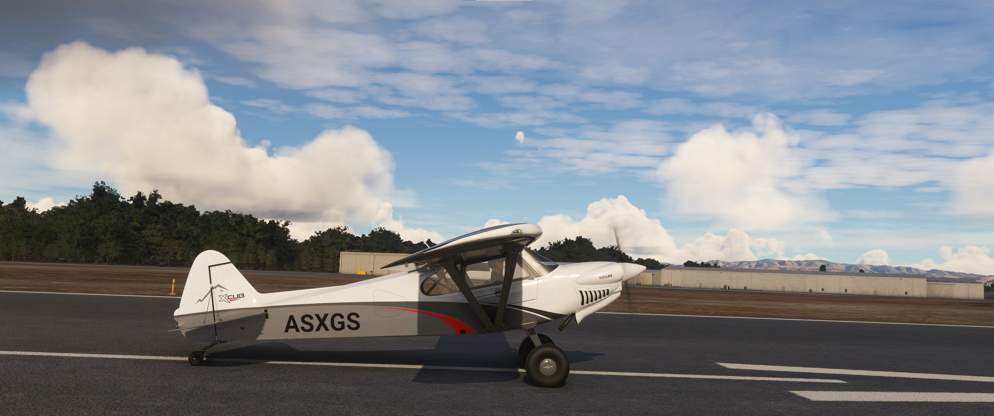 Asobo XCub Realism Mod - Image 1