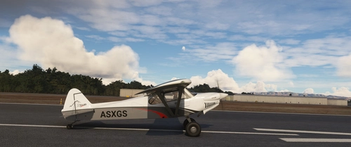 Asobo XCub Realism Mod
