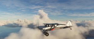 Asobo XCub Realism Mod thumbnail 6