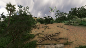 AYYZ Yambaitok airstrip, Papua New Guinea + landscape enhancement thumbnail 5