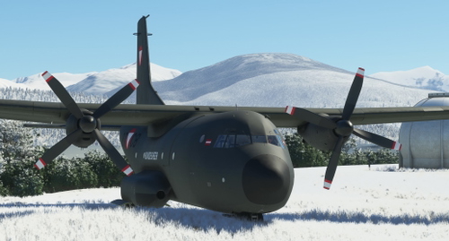 Azurpoly C-160 Transall Austrian Bundesheer (only Oliv)