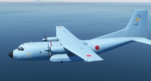 Azurpoly Japanese Air Self Defense Force (JASDF) 401st Tactical Airlift Squadron
