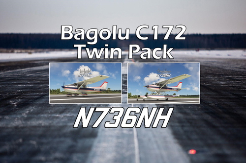 Bagolu AS1000 Cessna 172 "N736NH" Twin Pack