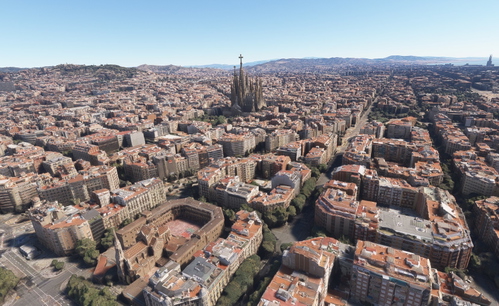 Barcelona no tree