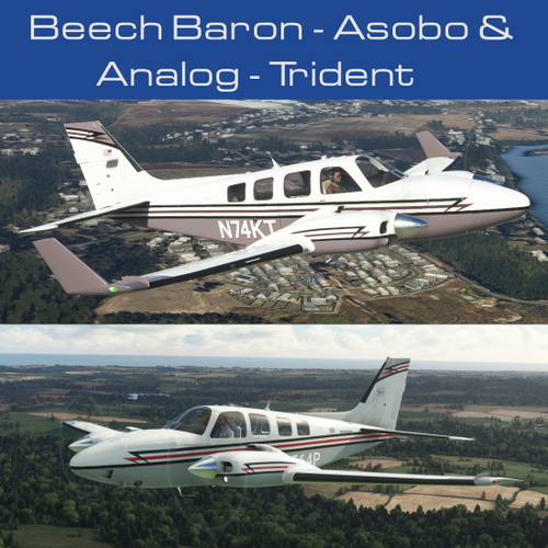 Beech Baron - Trident