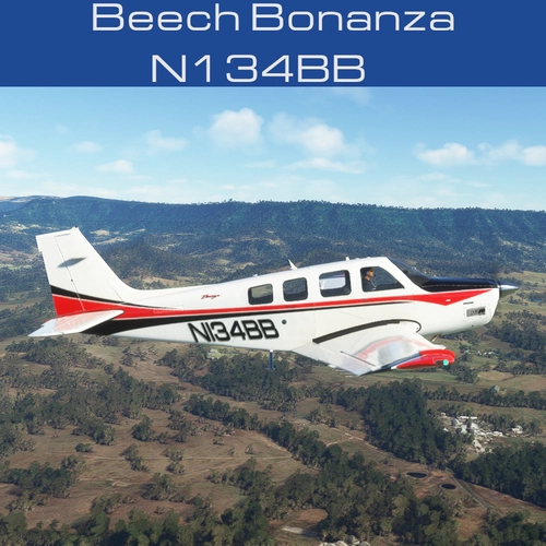 Beech Bonanza N134BB