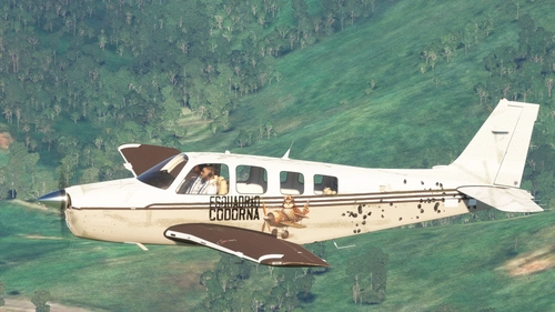 Beechcraft Bonanza G36 "Esquadrão Codorna" Buteco Voador - AeroArt Liveries
