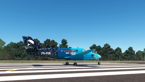 VirtualCol Beech 99 - PS-PQD