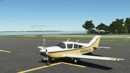 Bellanca Super Viking - Yellow Black Gold - N503LD "Lemon Drop"