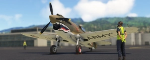 Big Radials P-40B Fictional Livery "The Wisewolf" thumbnail 1