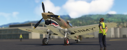 Big Radials P-40B Fictional Livery "The Wisewolf"