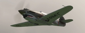 Big Radials P-40B Fictional Livery "The Wisewolf" thumbnail 4