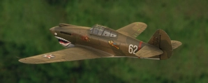 Big Radials P-40B Fictional Livery "The Wisewolf" thumbnail 3