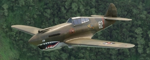 Big Radials P-40B Fictional Livery "The Wisewolf" thumbnail 2