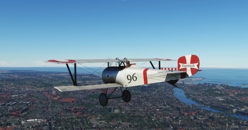 Big Radials RDAF Nieuport 17 ( fictional )