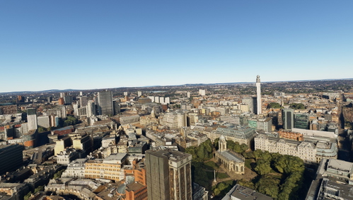 Birmingham no tree