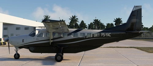 Black and gray livery for Asobo C208B EX by diordi (PS-YAC)