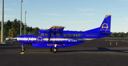 BlackSquare C208B  SayIntentions.ai  livery
