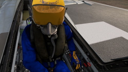 Blue Angels Asobo Avatar