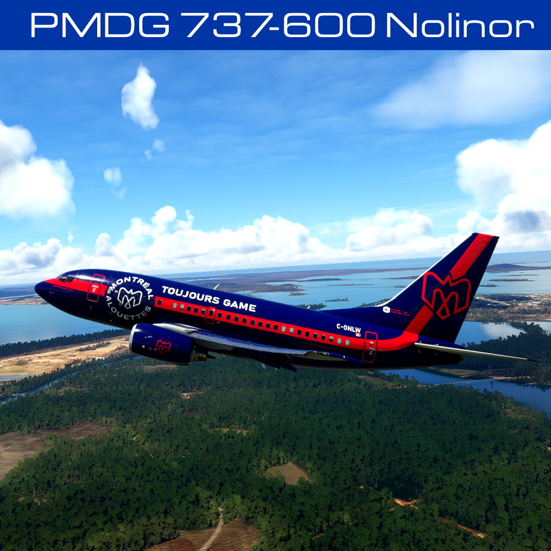 PMDG Boeing 737-600 Liveries for Microsoft Flight Simulator | MSFS