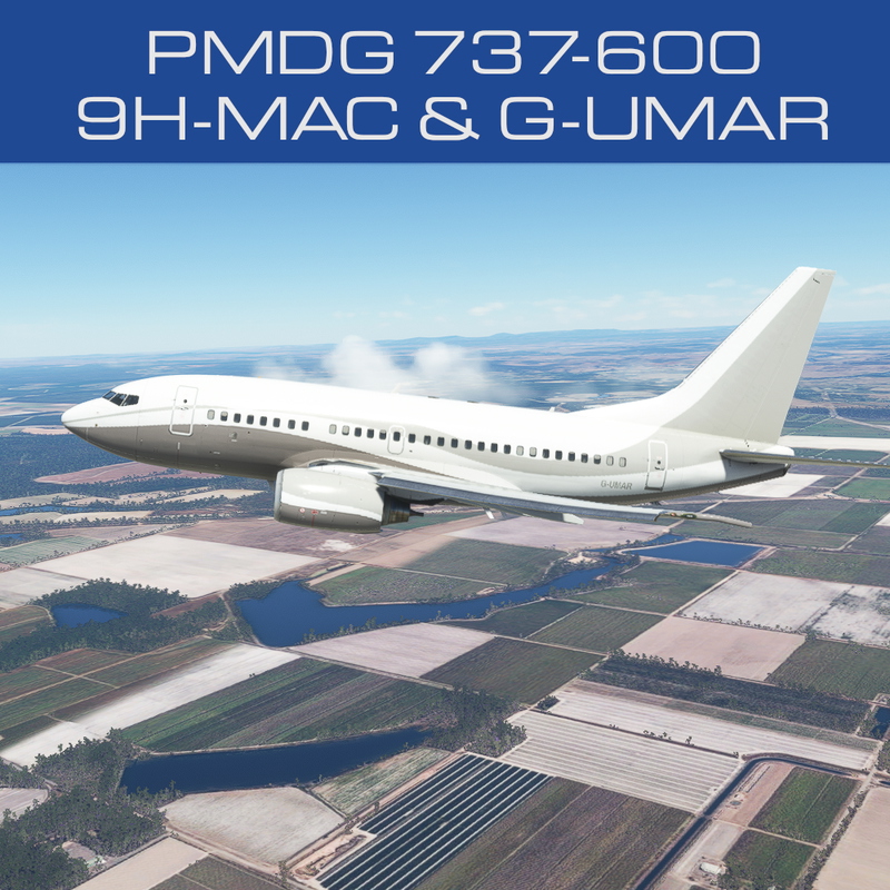 PMDG Boeing 737-600 Liveries for Microsoft Flight Simulator | MSFS