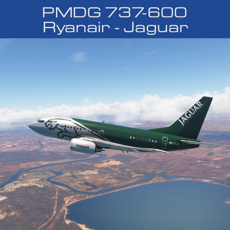 PMDG Boeing 737-600 Liveries for Microsoft Flight Simulator | MSFS