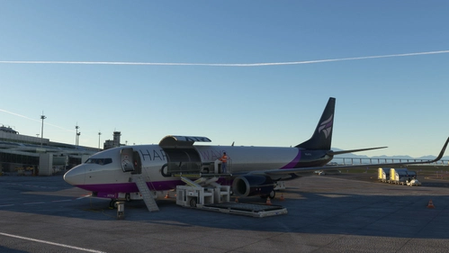 Boeing 737-800 Cargo Harpy Airways (fictitious)