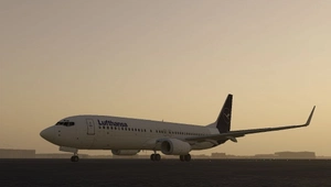 Boeing 737-800 FSX/MSFS2020 conversion thumbnail 11