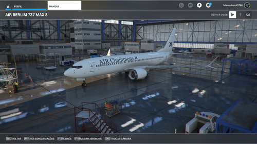Boeing 737MX Air Champions