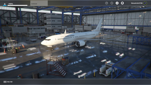 Boeing 737MX Trans Idanha