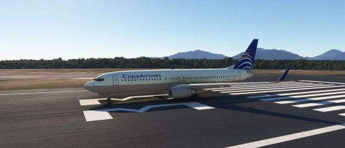 Boeing 73X Project Copa Airlines
