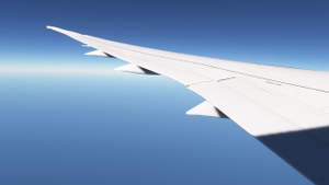 Horizon Simulations Boeing 787-9 Custom Camera Views thumbnail 7