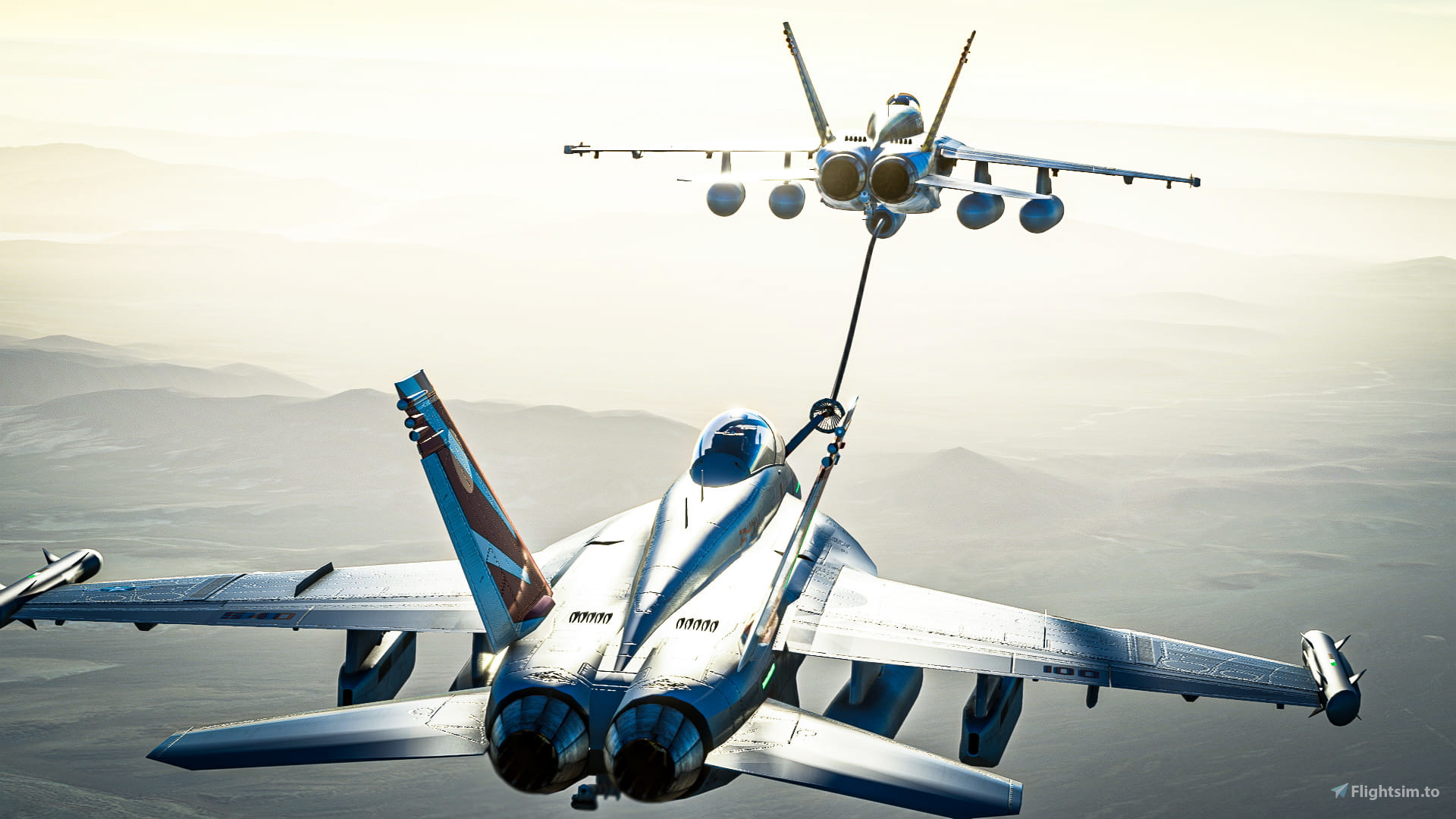 航空機・ヘリコプター 73 HerpaBoeing F/A-18F Super Hornet SkyRaccoon