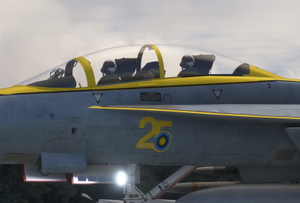 Boeing F/A-18F Super Hornet RMAF 25th Anniversary Livery - "Pikachu"  thumbnail 8