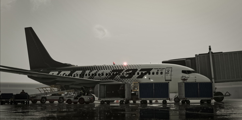 BRAVO 737 House Livery "Spirit of Colorado" for the PMDG Boeing 737-800