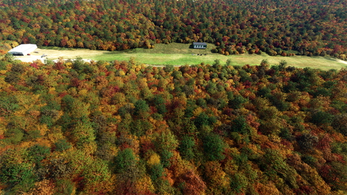 Buck Holler Airport, 95VA