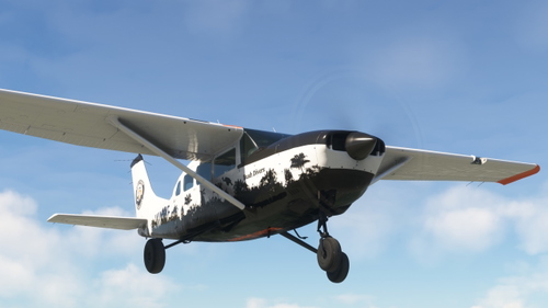 Bush Divers VA - Cessna T207A