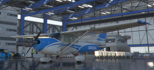 C172 Blue Gem Airways